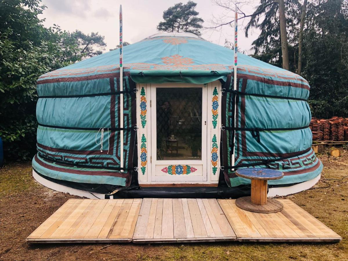 אנסחדה Tiny House 'T Heidehoes In Usselo מראה חיצוני תמונה